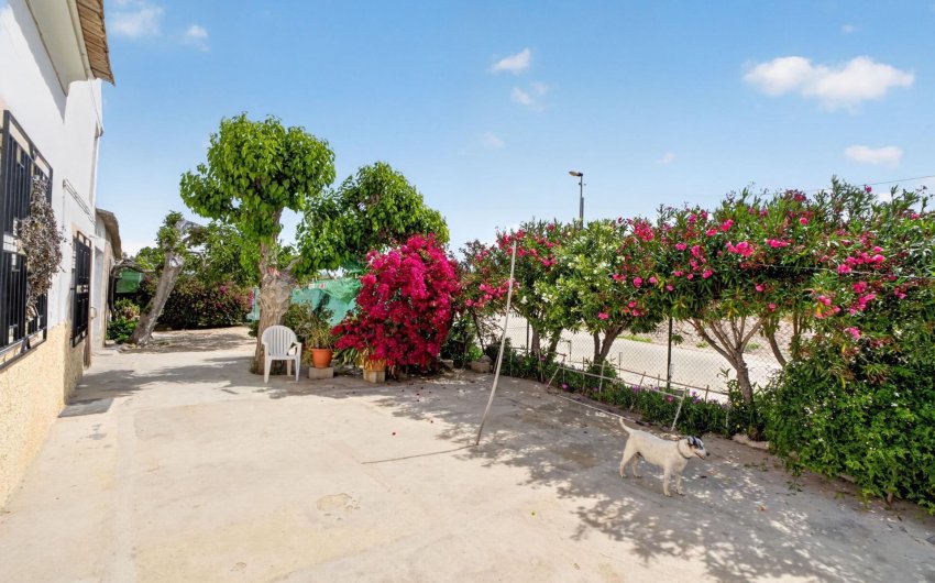 Reventa - Finca -
Orihuela - Desamparados-hurchillo-torremendo