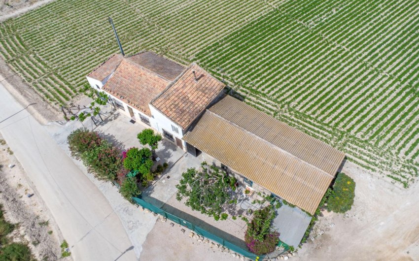 Reventa - Finca -
Orihuela - Desamparados-hurchillo-torremendo