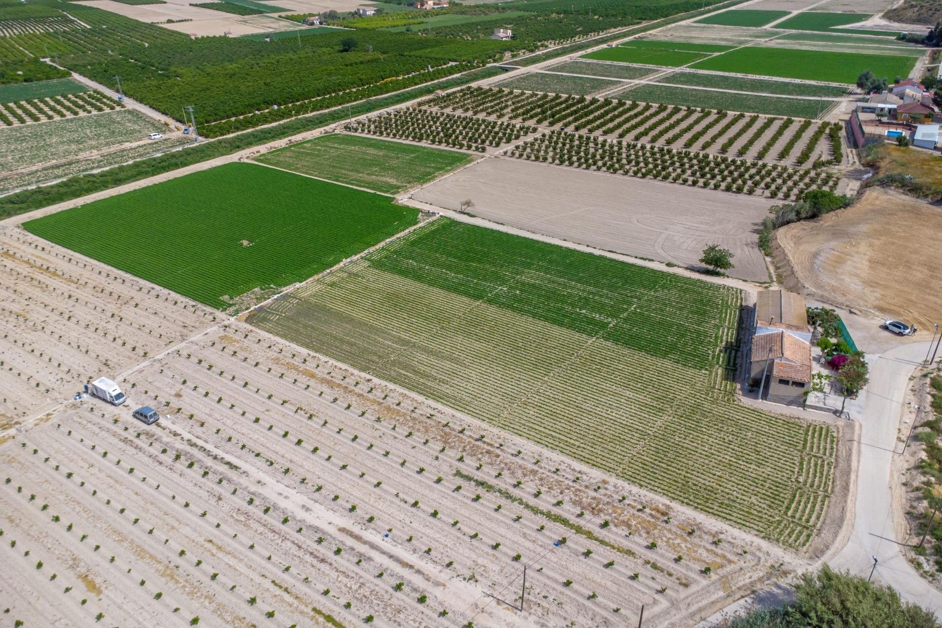 Reventa - Finca -
Orihuela - Desamparados-hurchillo-torremendo