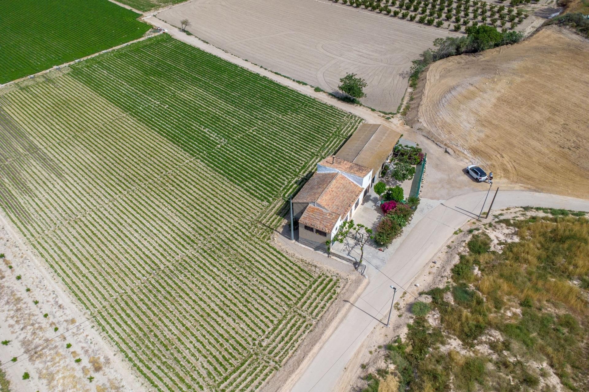 Reventa - Finca -
Orihuela - Desamparados-hurchillo-torremendo