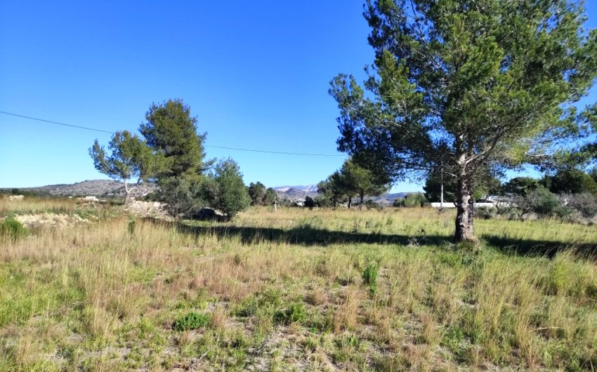 Reventa - Land -
Benissa