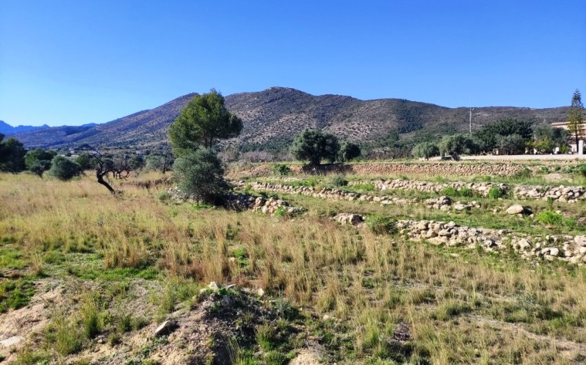 Reventa - Land -
Benissa