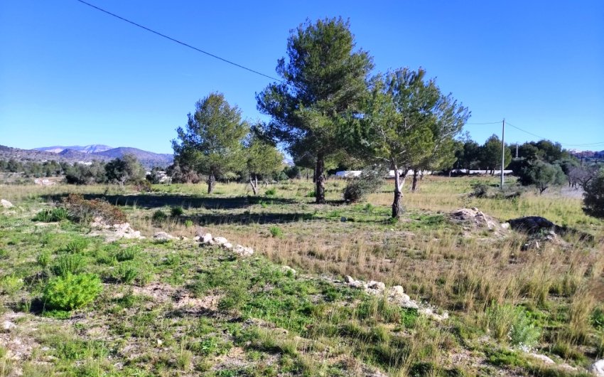 Reventa - Land -
Benissa