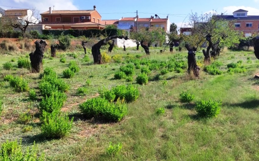 Reventa - Land -
Gaianes