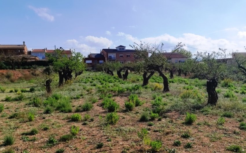 Reventa - Land -
Gaianes