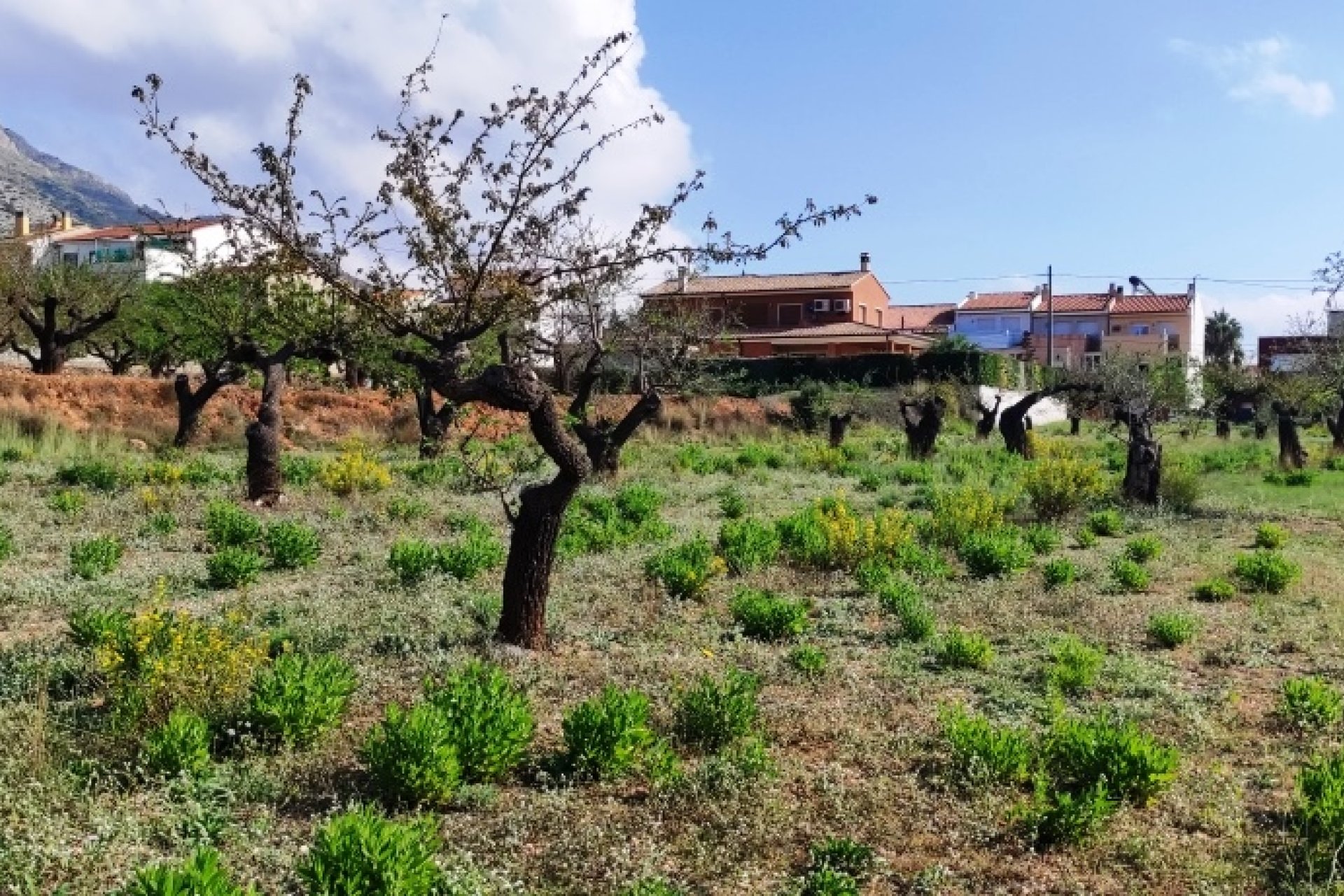 Reventa - Land -
Gaianes