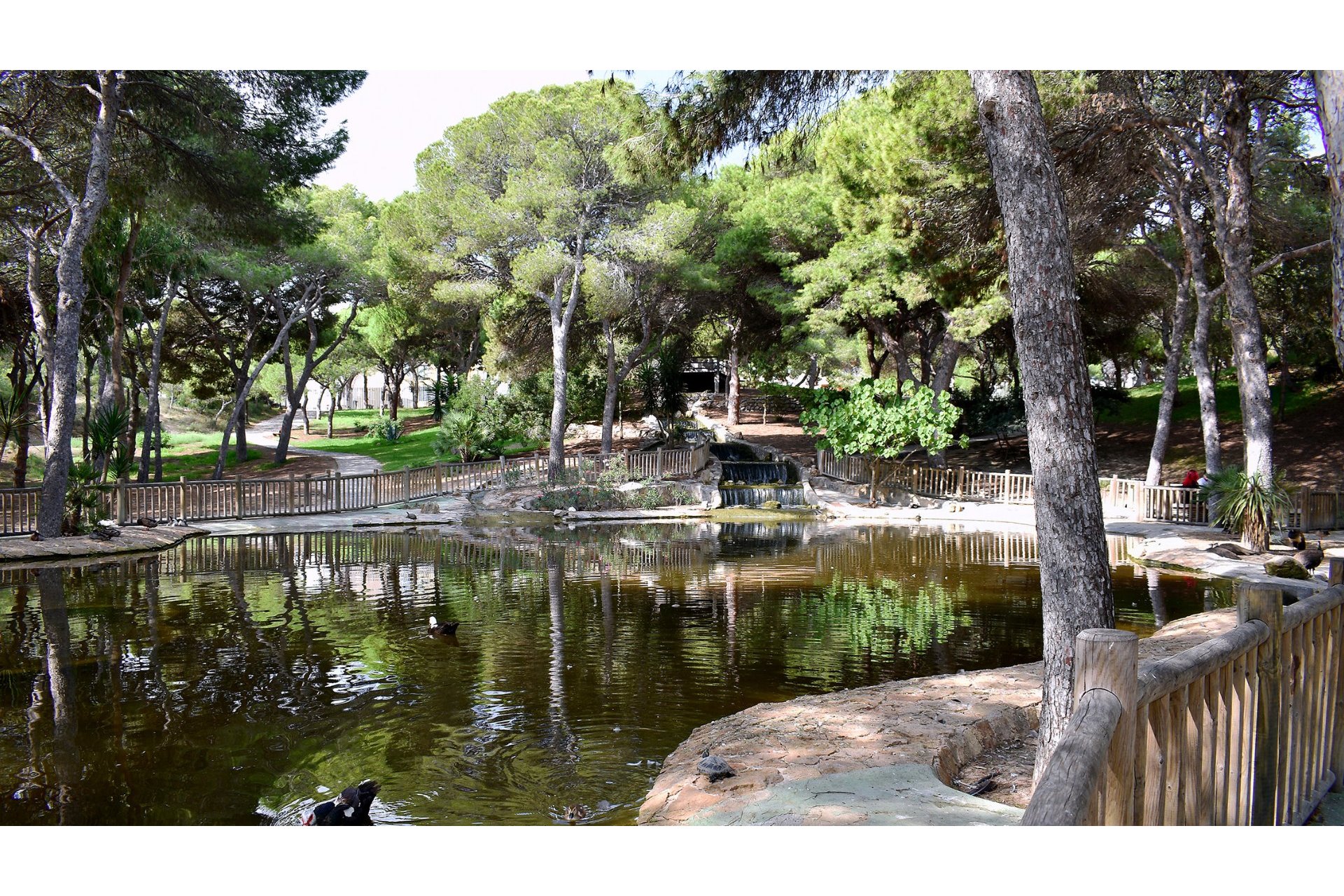 Reventa - Land -
Guardamar del Segura