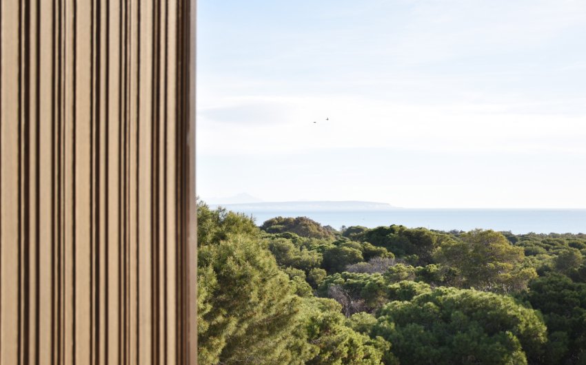 Reventa - Land -
Guardamar del Segura