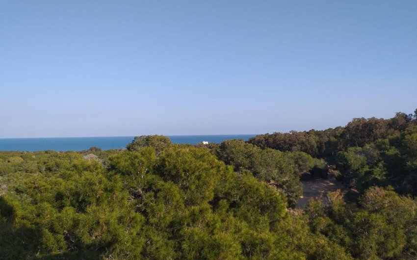 Reventa - Land -
Guardamar del Segura