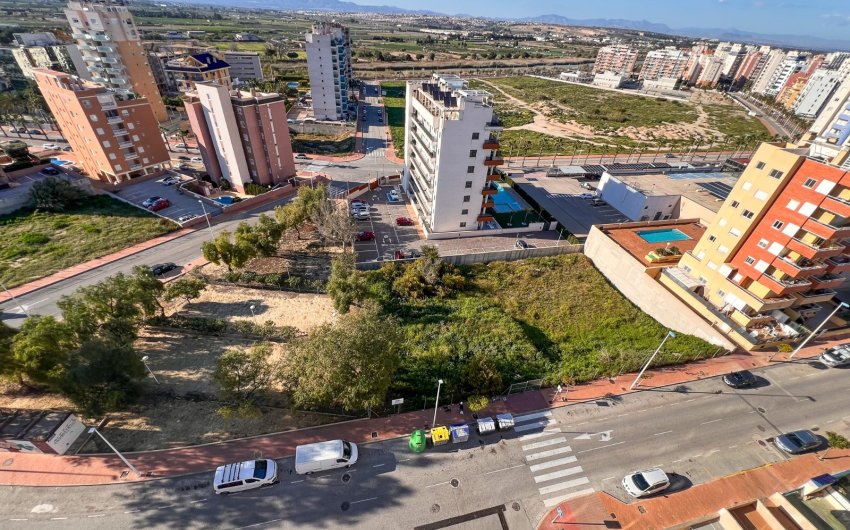 Reventa - Land -
Guardamar del Segura