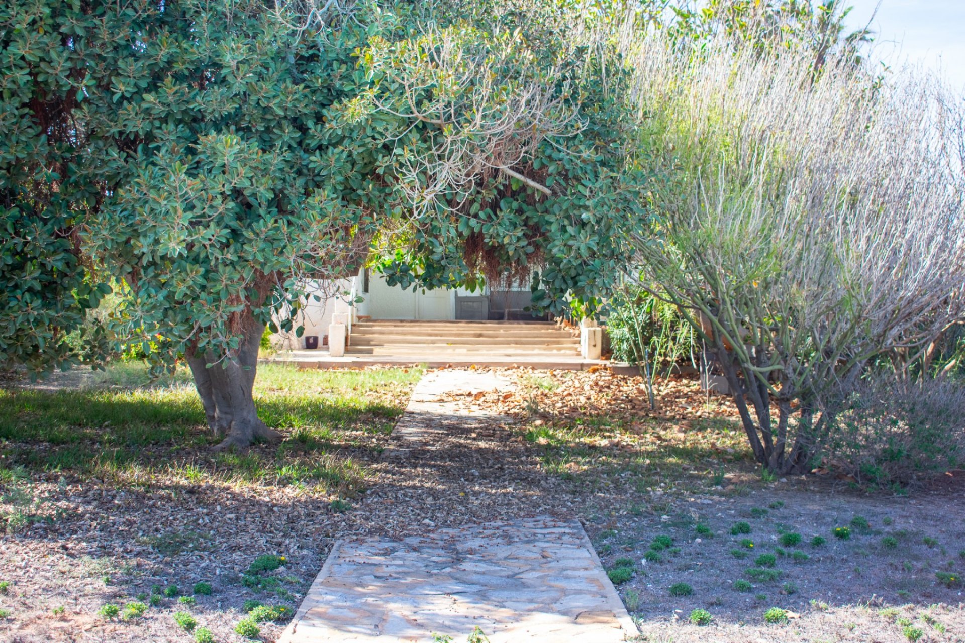 Reventa - Land -
Orihuela Costa - Cabo Roig