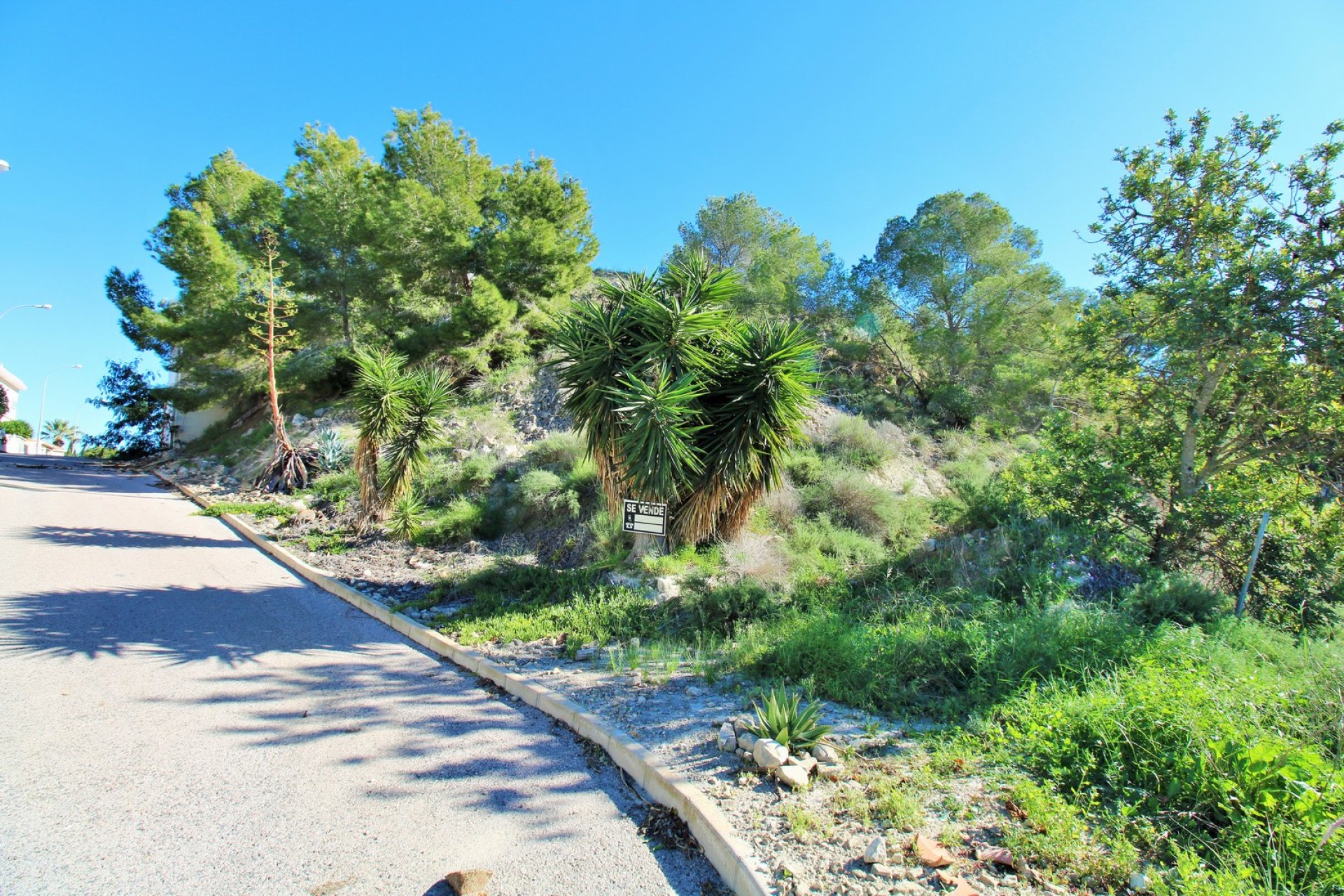 Reventa - Land -
San Miguel de Salinas