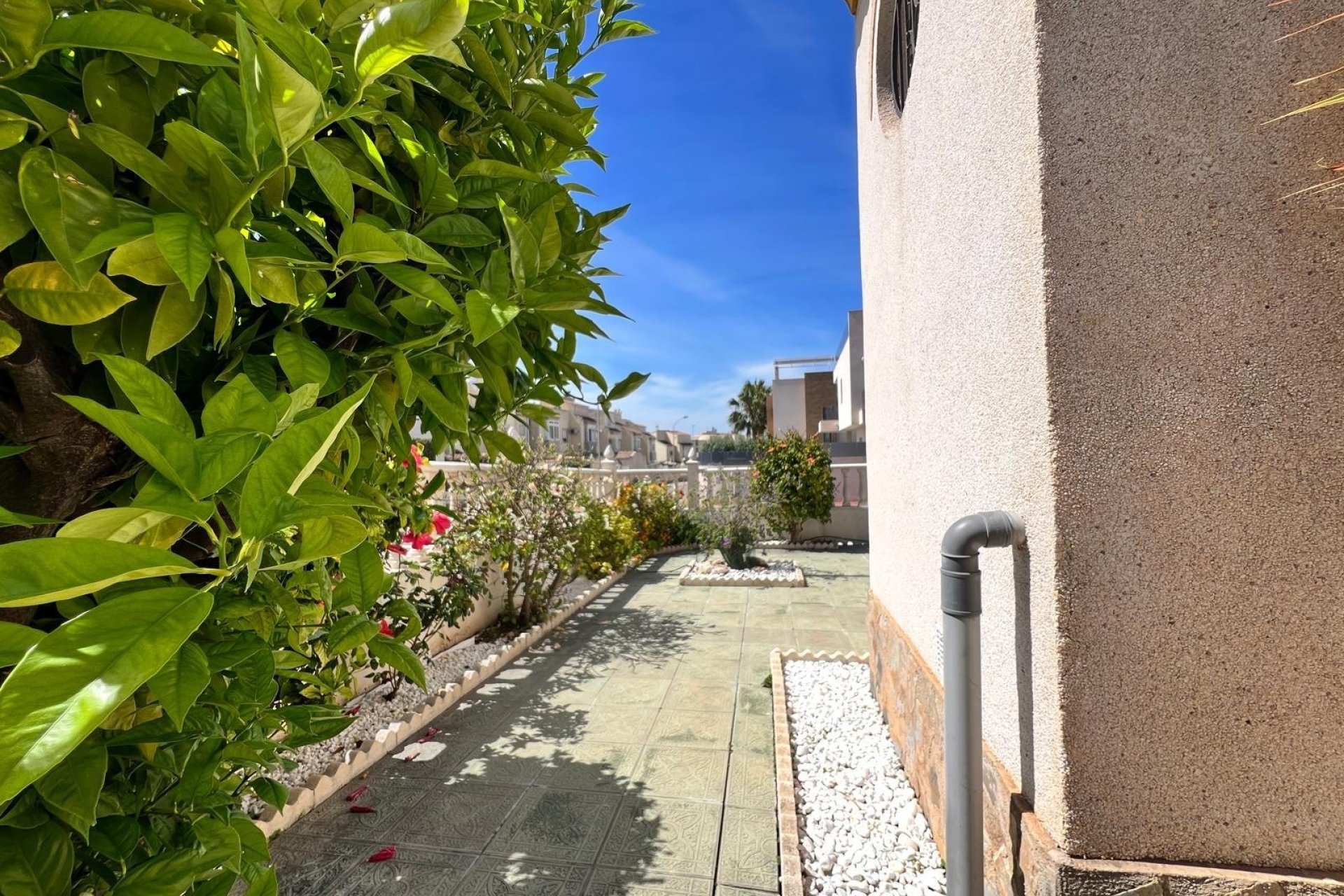 Reventa - Quad House -
Torrevieja - Torre La Mata