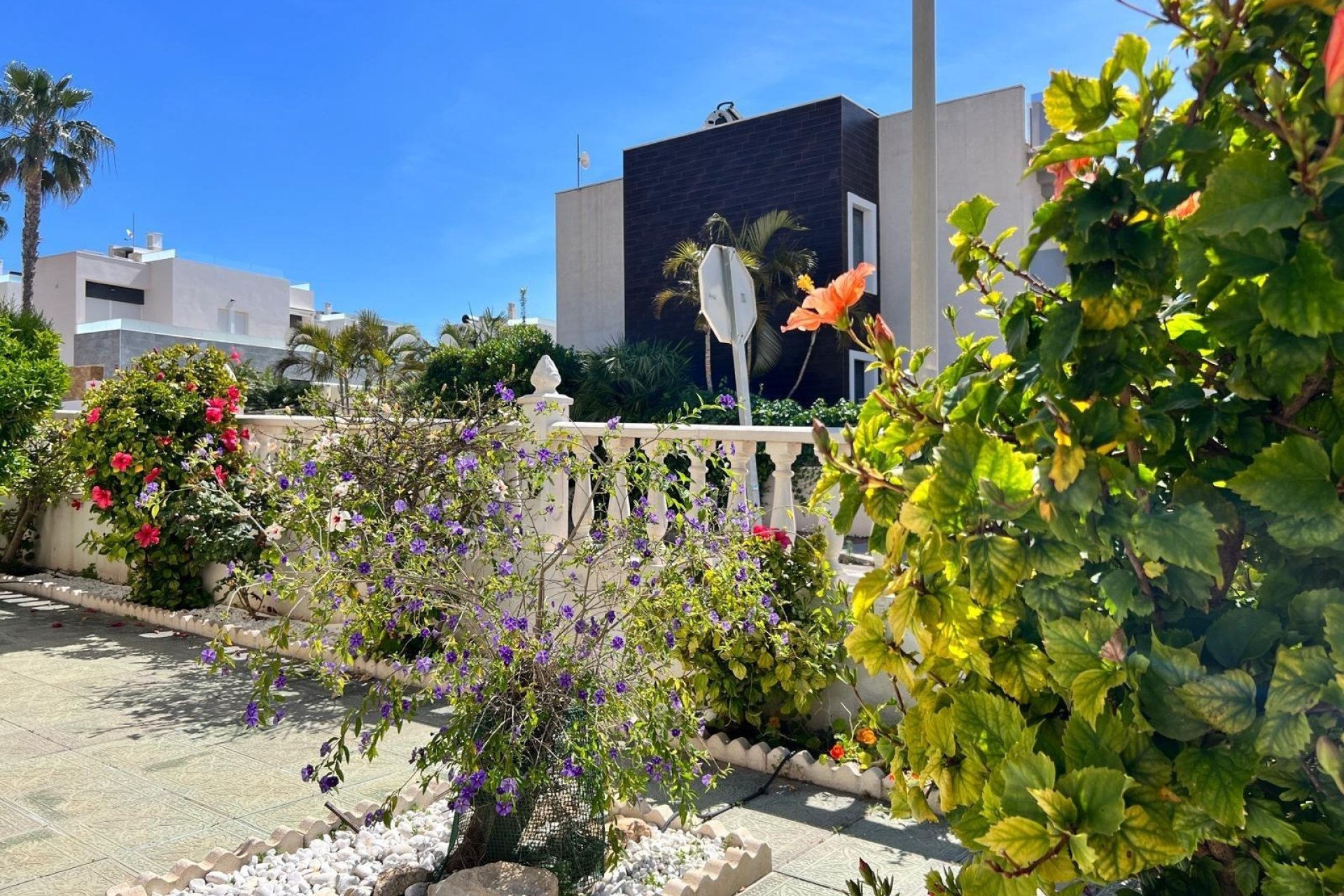 Reventa - Quad House -
Torrevieja - Torre La Mata