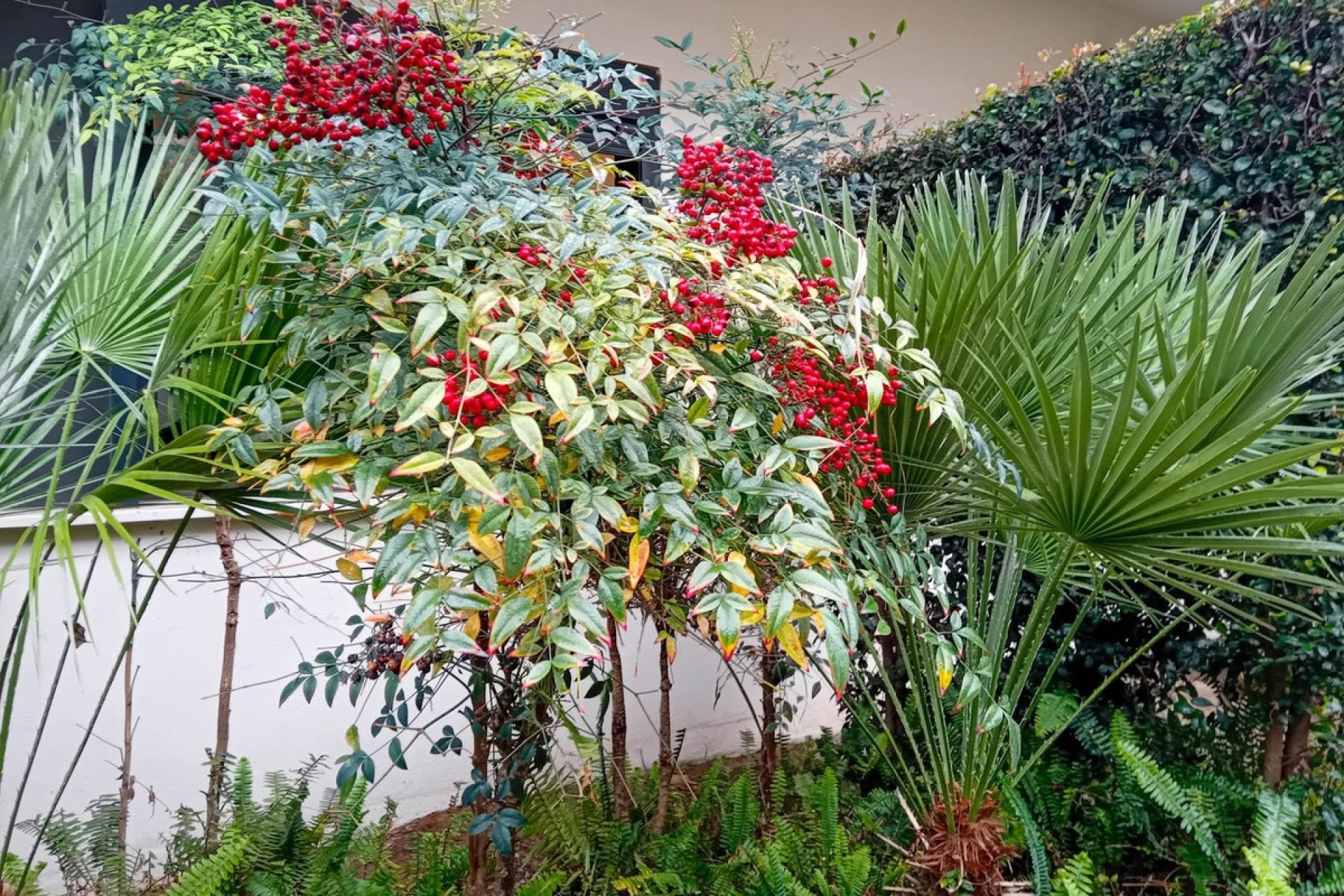 Reventa - Town House -
Manilva - Inland