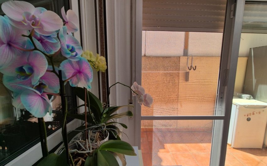 Reventa - Town House -
Torrevieja - Costa Blanca