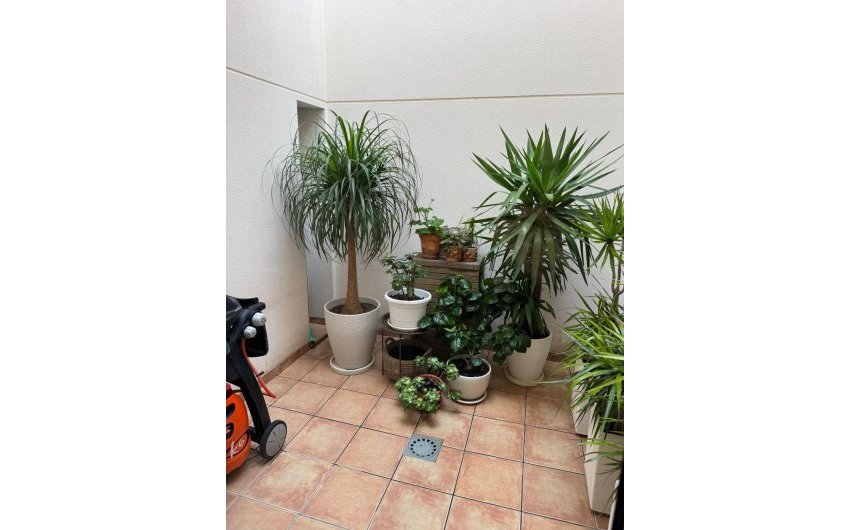 Reventa - Town House -
Torrevieja - Punta Prima