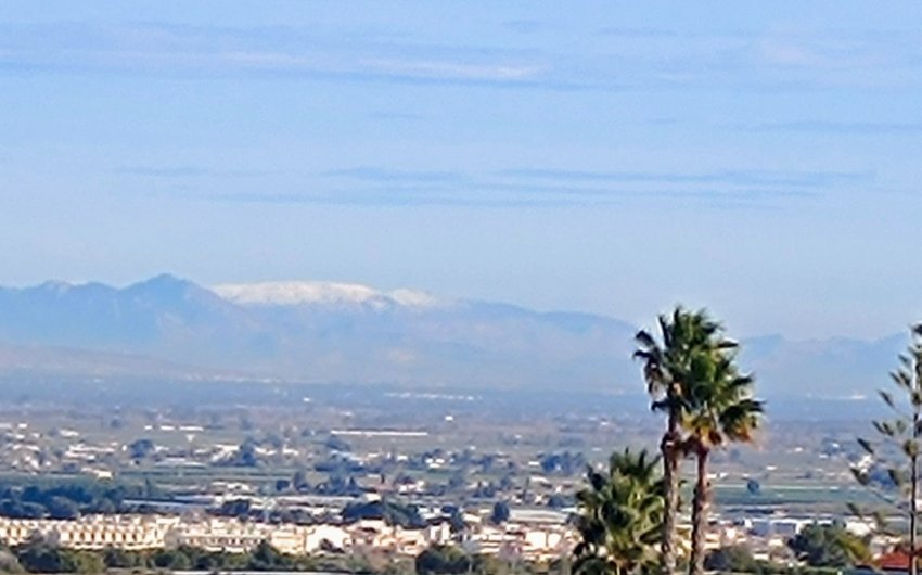 Reventa - Villa -
Algorfa - Inland