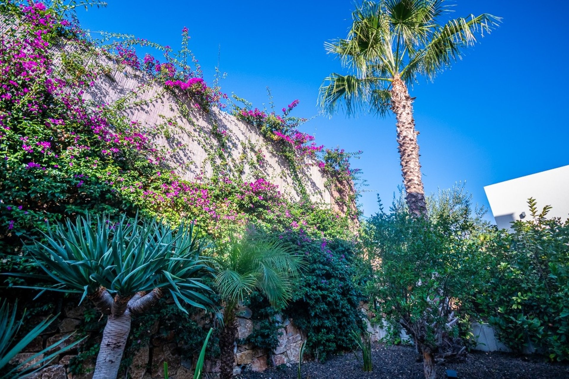 Reventa - Villa -
Algorfa - Inland