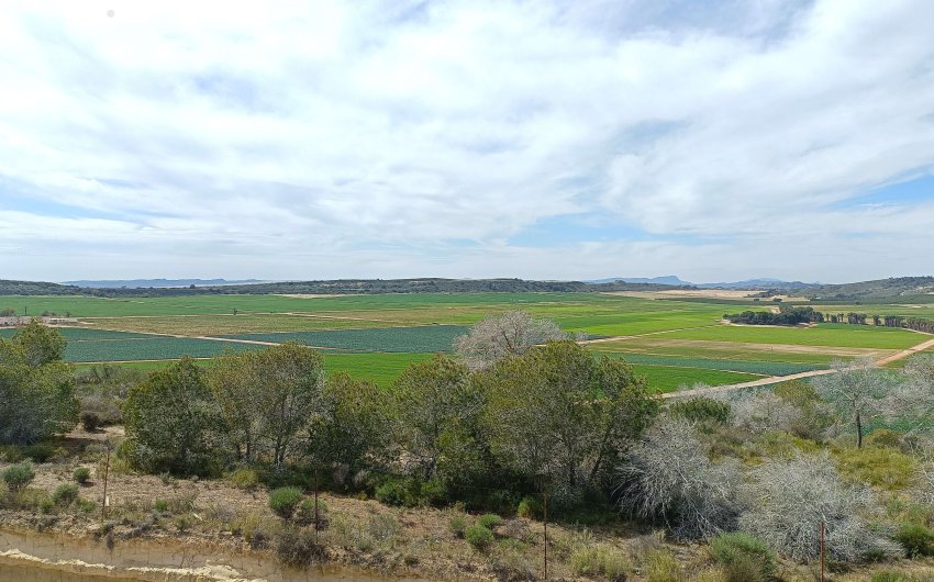 Reventa - Villa -
Algorfa - Inland