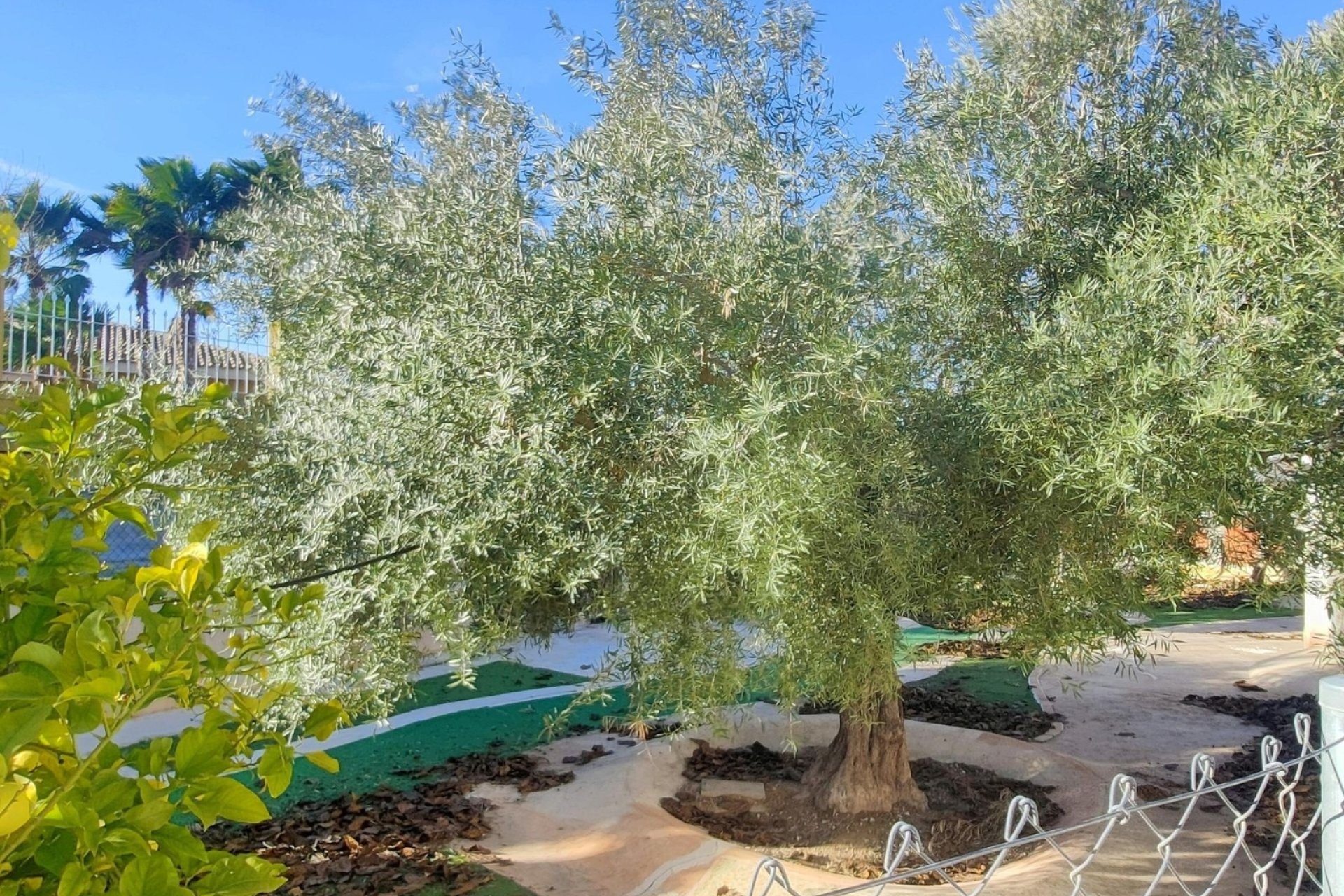 Reventa - Villa -
Aspe