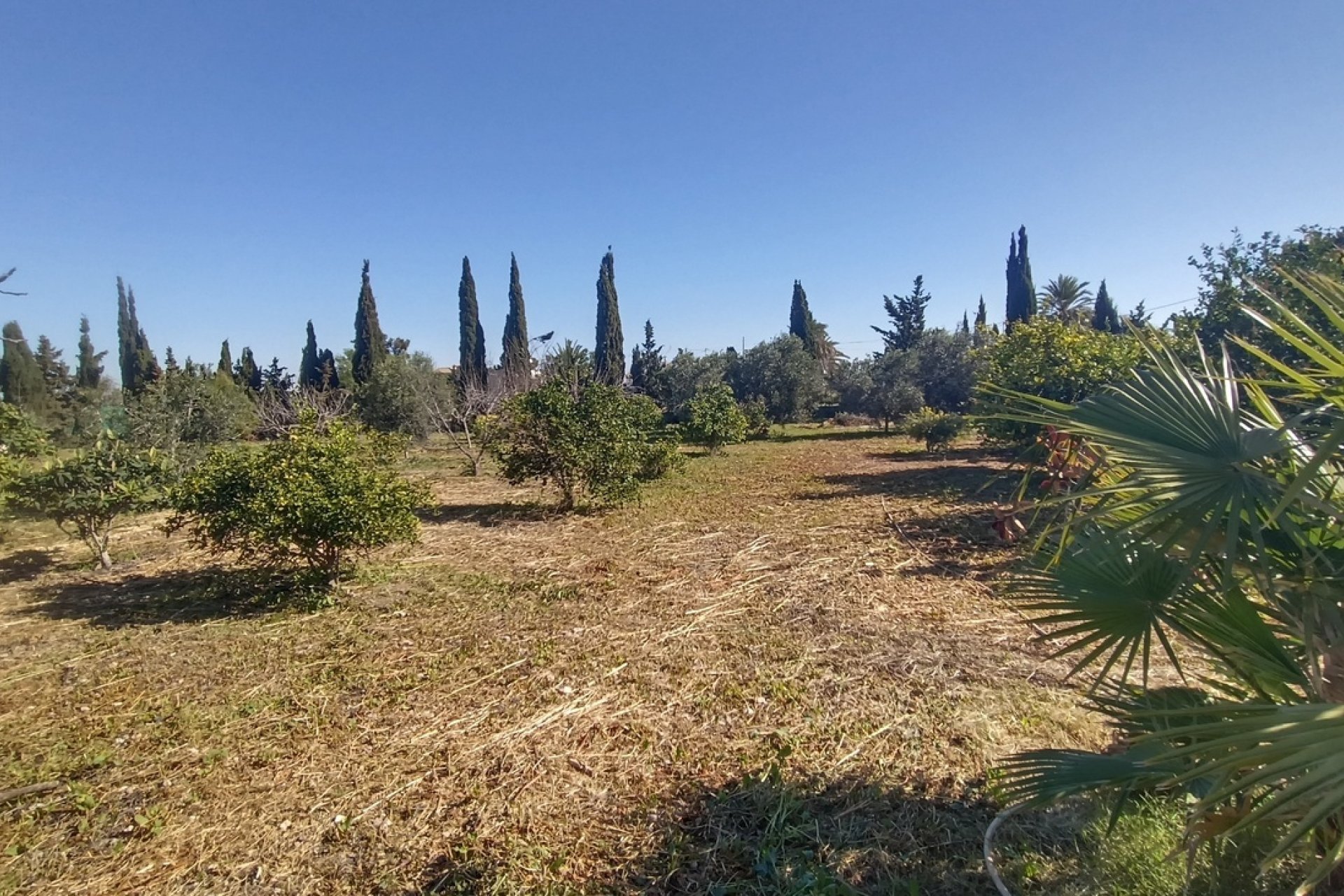 Reventa - Villa -
Avileses - Inland