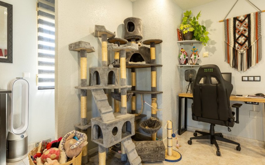 Reventa - Villa -
Benijofar