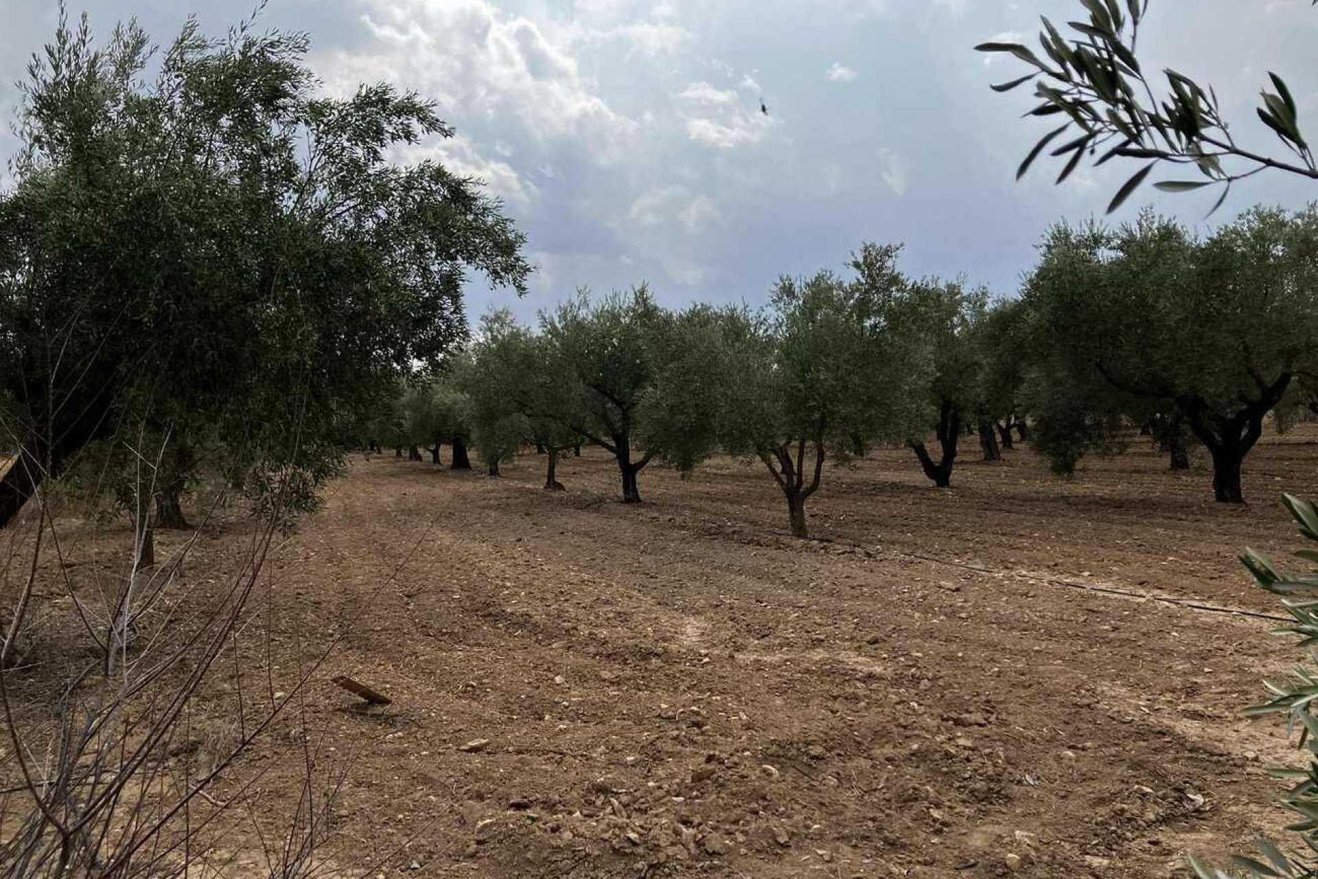 Reventa - Villa -
Biar - Costa Blanca