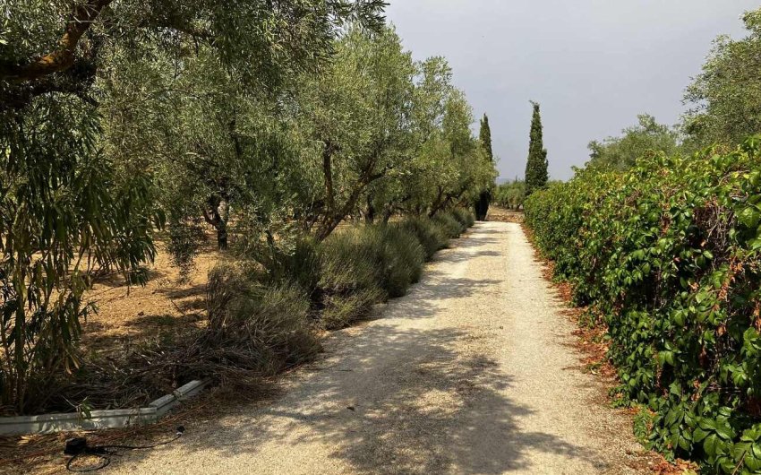 Reventa - Villa -
Biar - Costa Blanca