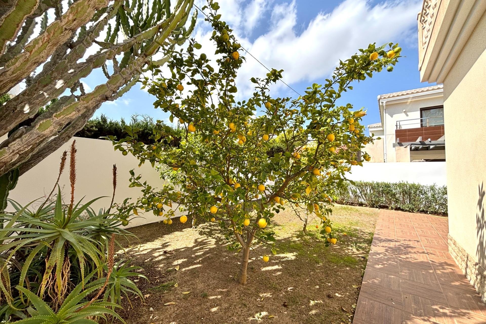 Reventa - Villa -
Cabo Roig - Costa Blanca