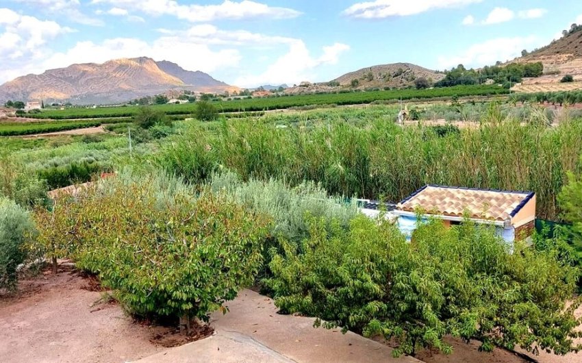 Reventa - Villa -
Calasparra - Inland