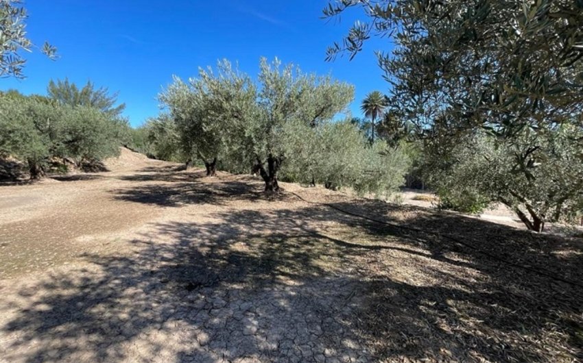 Reventa - Villa -
Calasparra - Inland