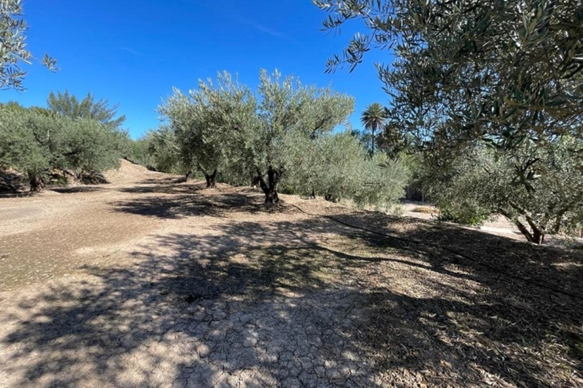 Reventa - Villa -
Calasparra - Inland