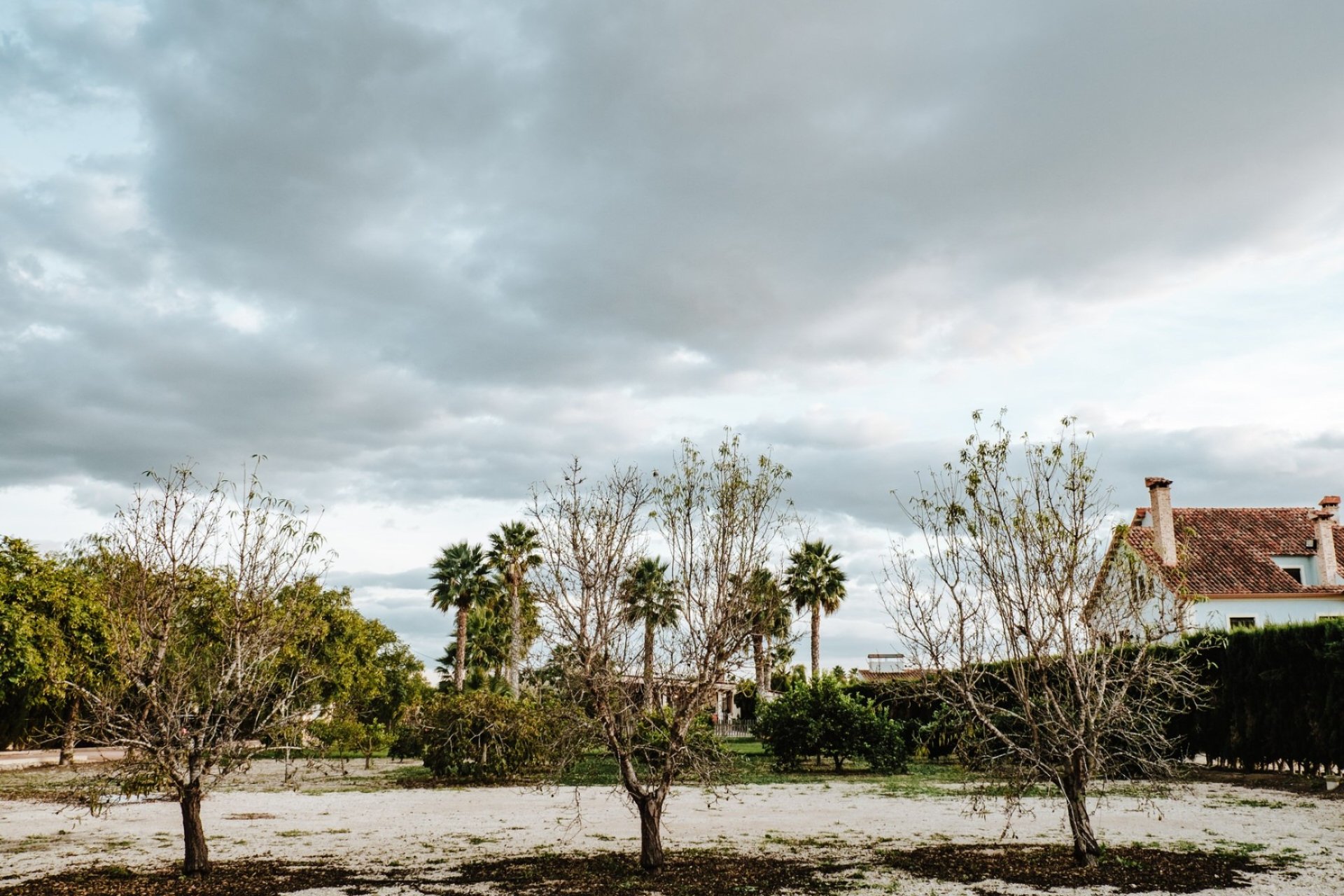 Reventa - Villa -
Catral