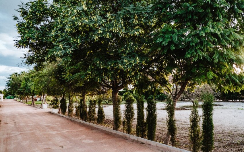 Reventa - Villa -
Catral