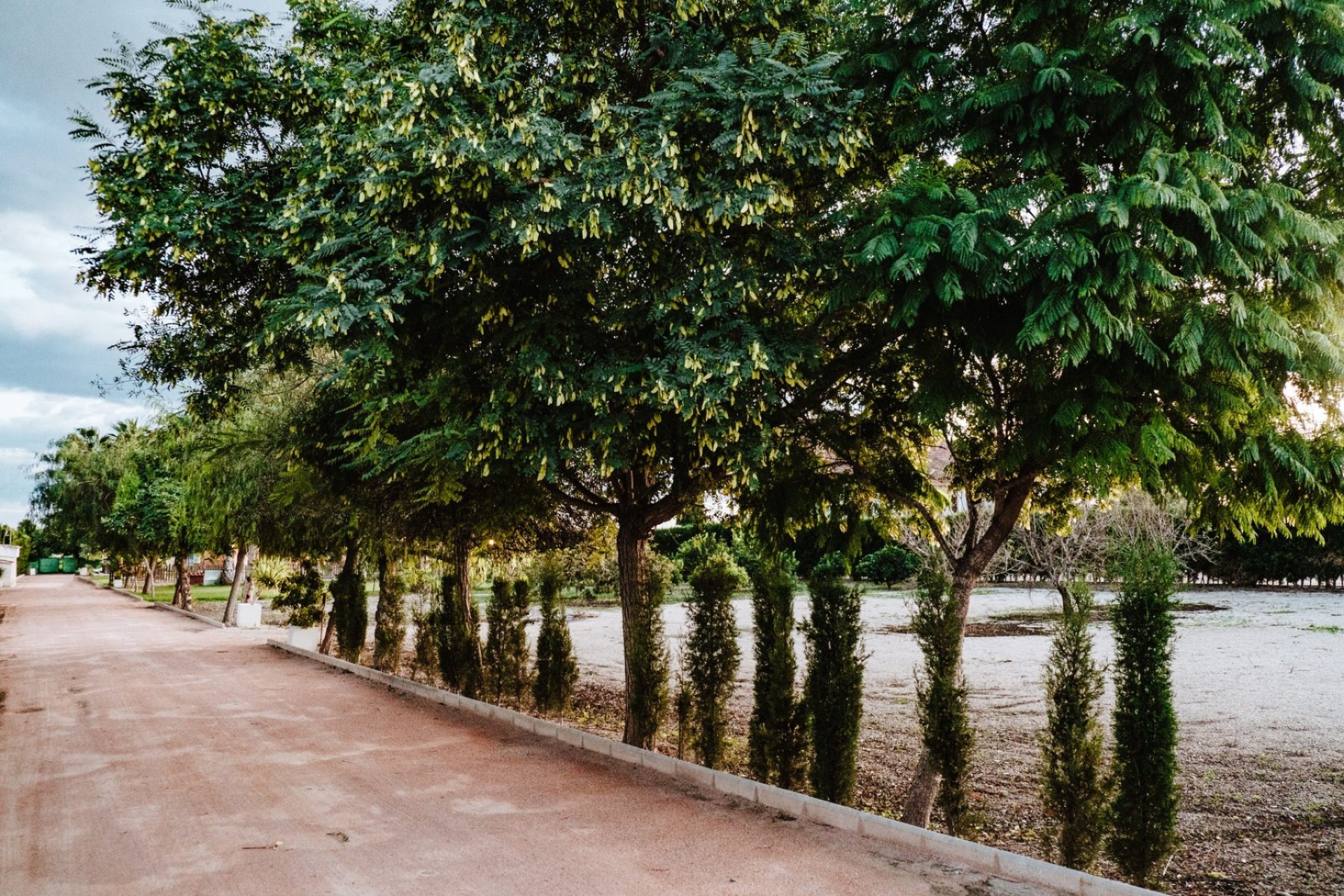 Reventa - Villa -
Catral