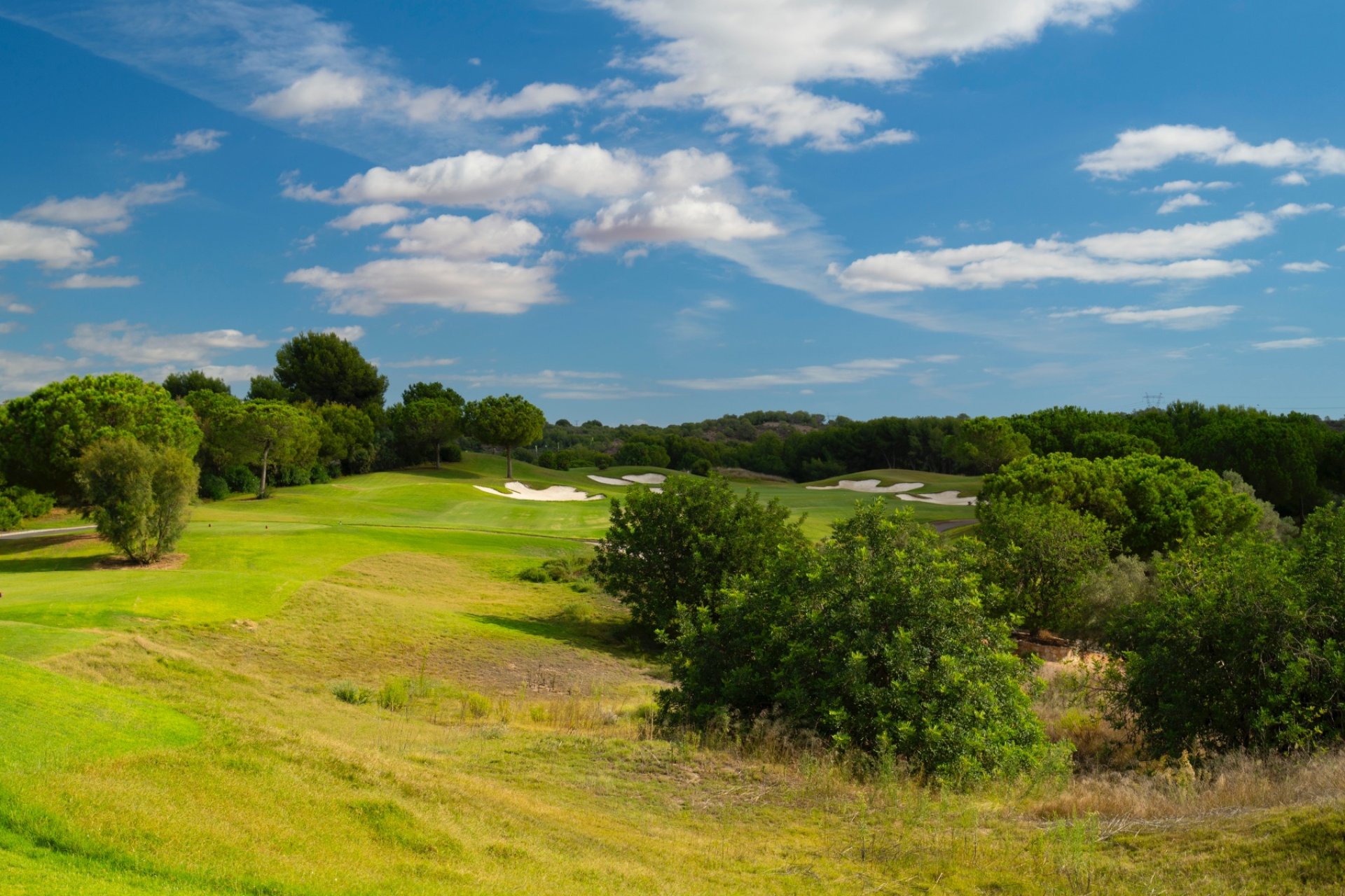 Reventa - Villa -
Dehesa de Campoamor - Dehesa de campoamor