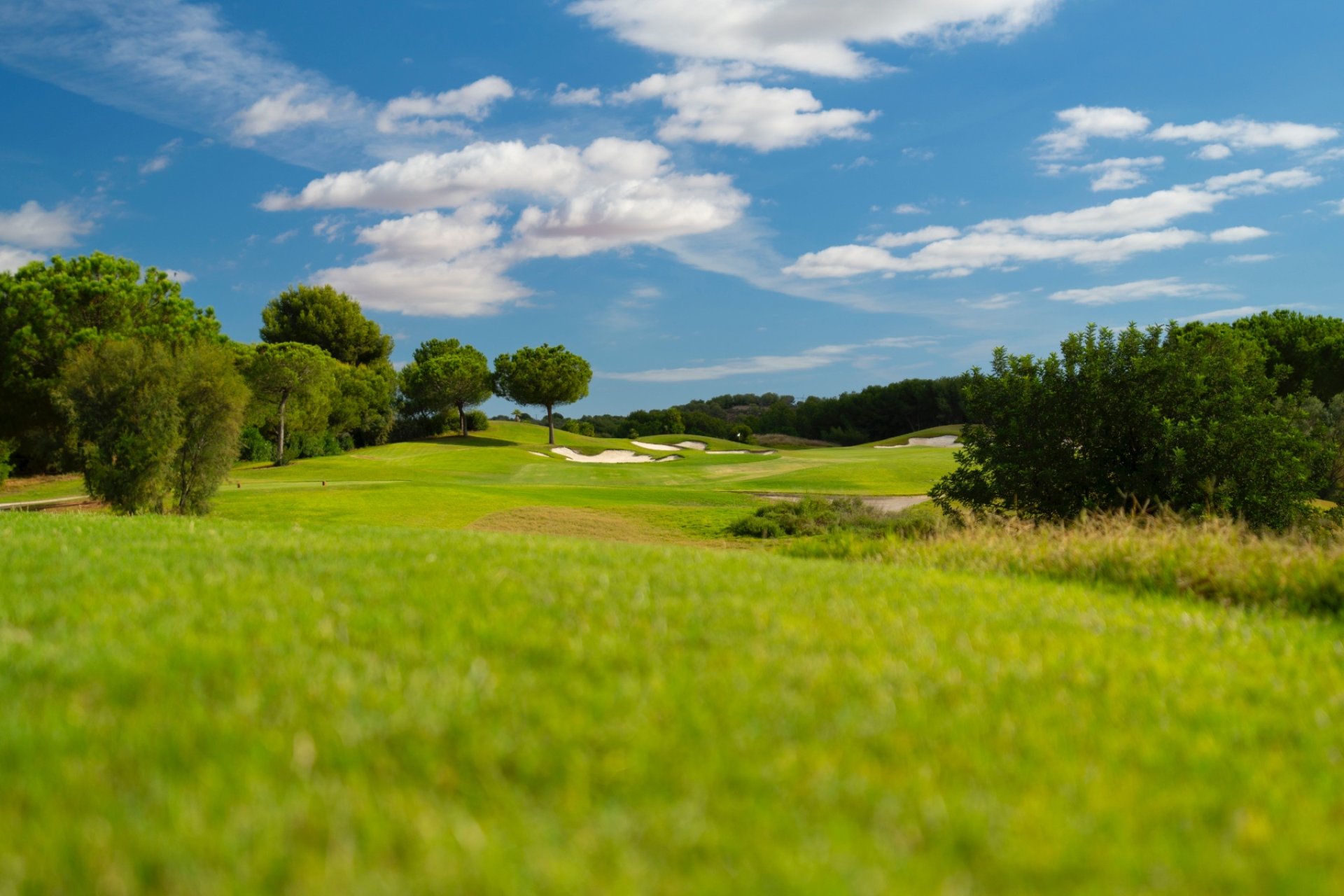 Reventa - Villa -
Dehesa de Campoamor - Dehesa de campoamor