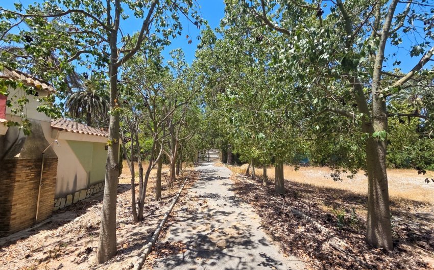 Reventa - Villa -
Elche - Costa Blanca