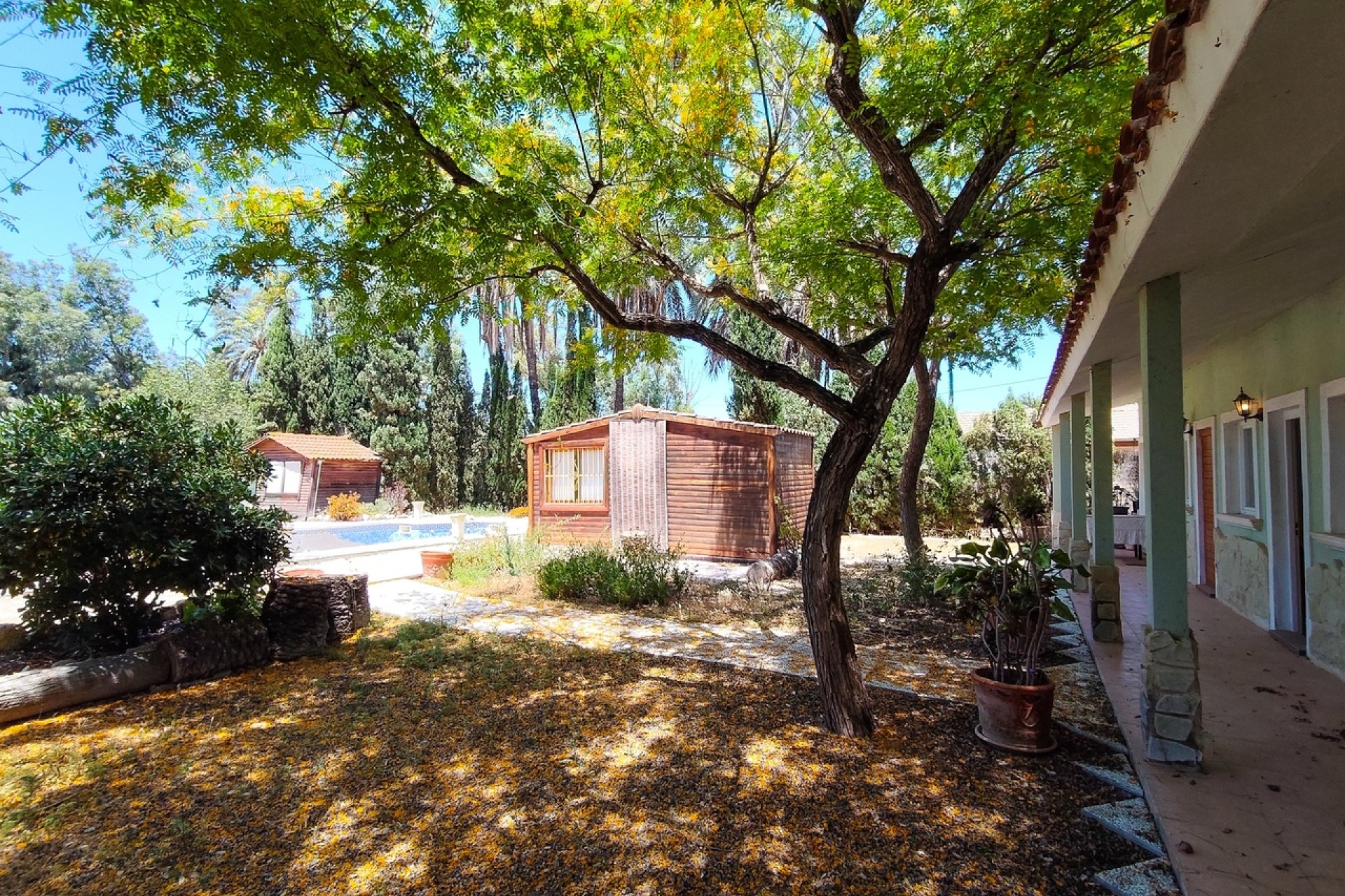 Reventa - Villa -
Elche - Costa Blanca