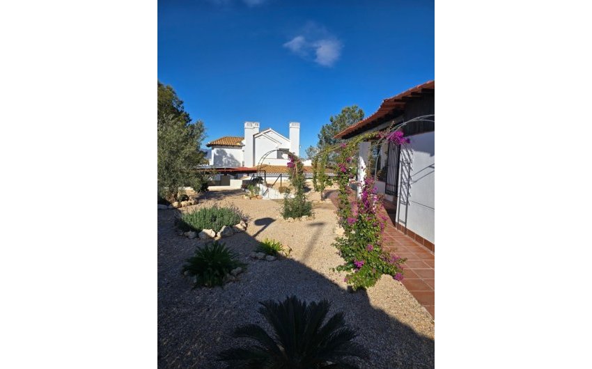 Reventa - Villa -
Fuente Alamo - Las Palas