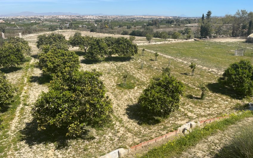 Reventa - Villa -
Guardamar del Segura - Costa Blanca