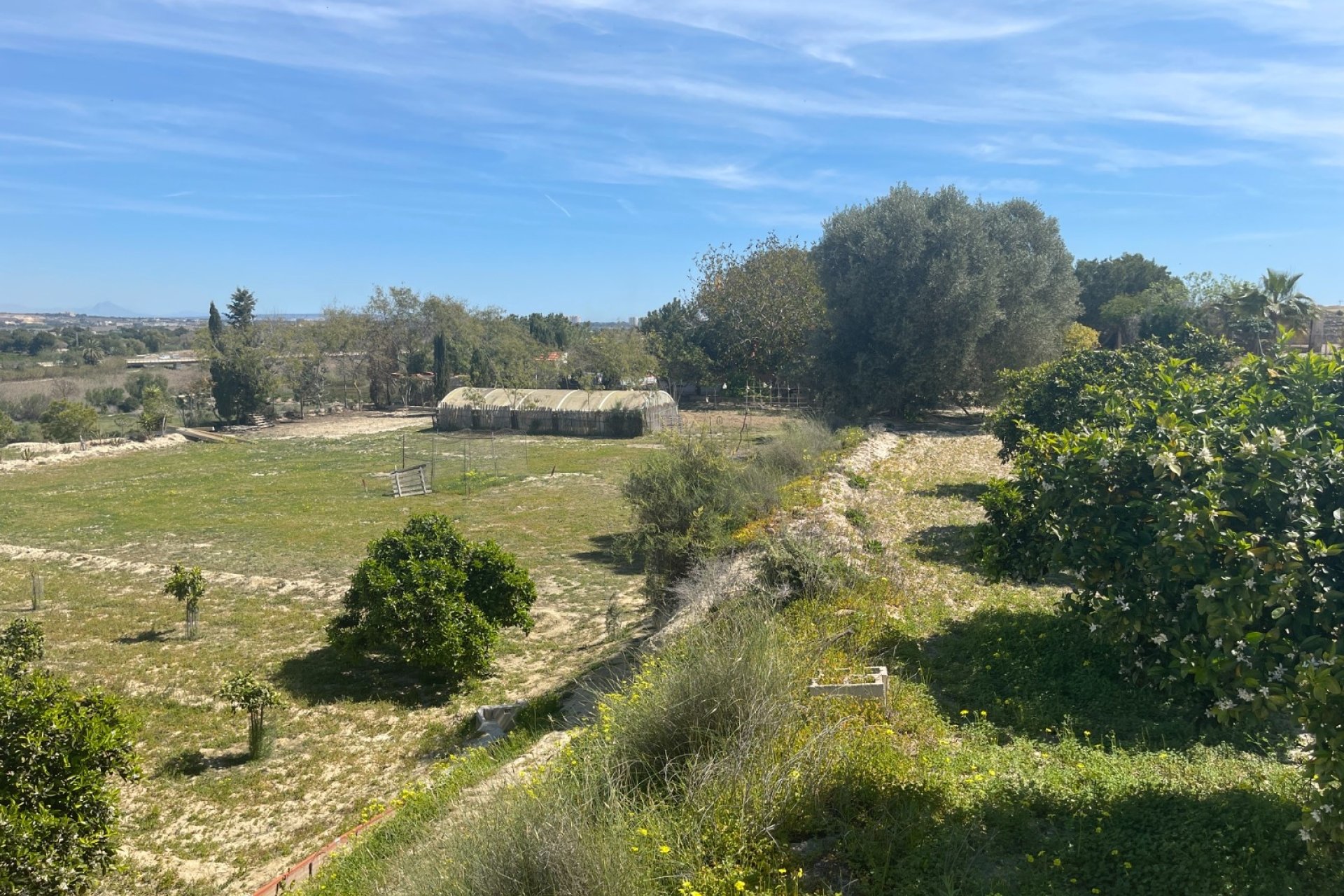Reventa - Villa -
Guardamar del Segura - Costa Blanca