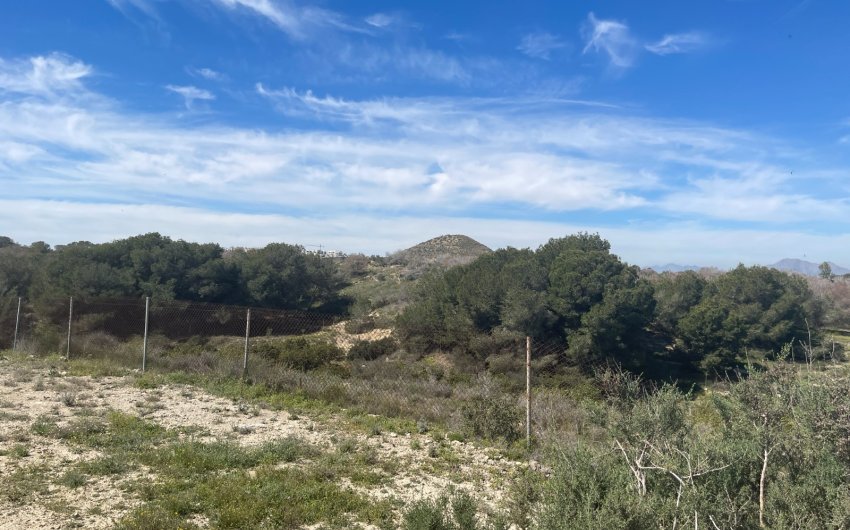 Reventa - Villa -
Guardamar del Segura - Costa Blanca