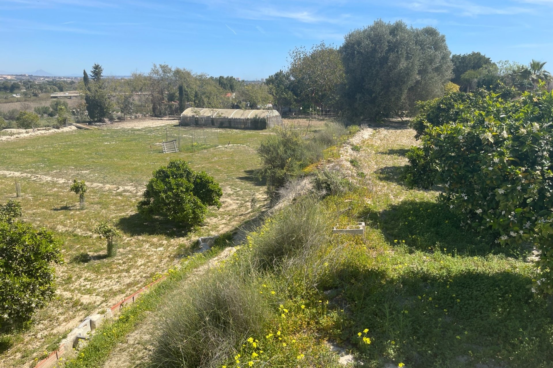 Reventa - Villa -
Guardamar del Segura - Costa Blanca