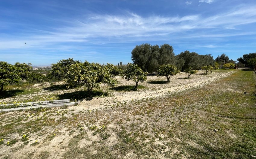 Reventa - Villa -
Guardamar del Segura - Costa Blanca