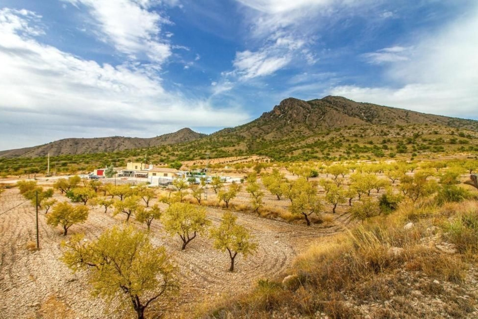 Reventa - Villa -
Jumilla - Inland