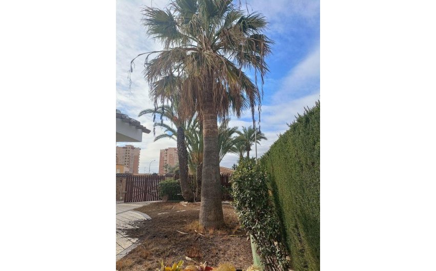 Reventa - Villa -
Orihuela Costa - Campoamor