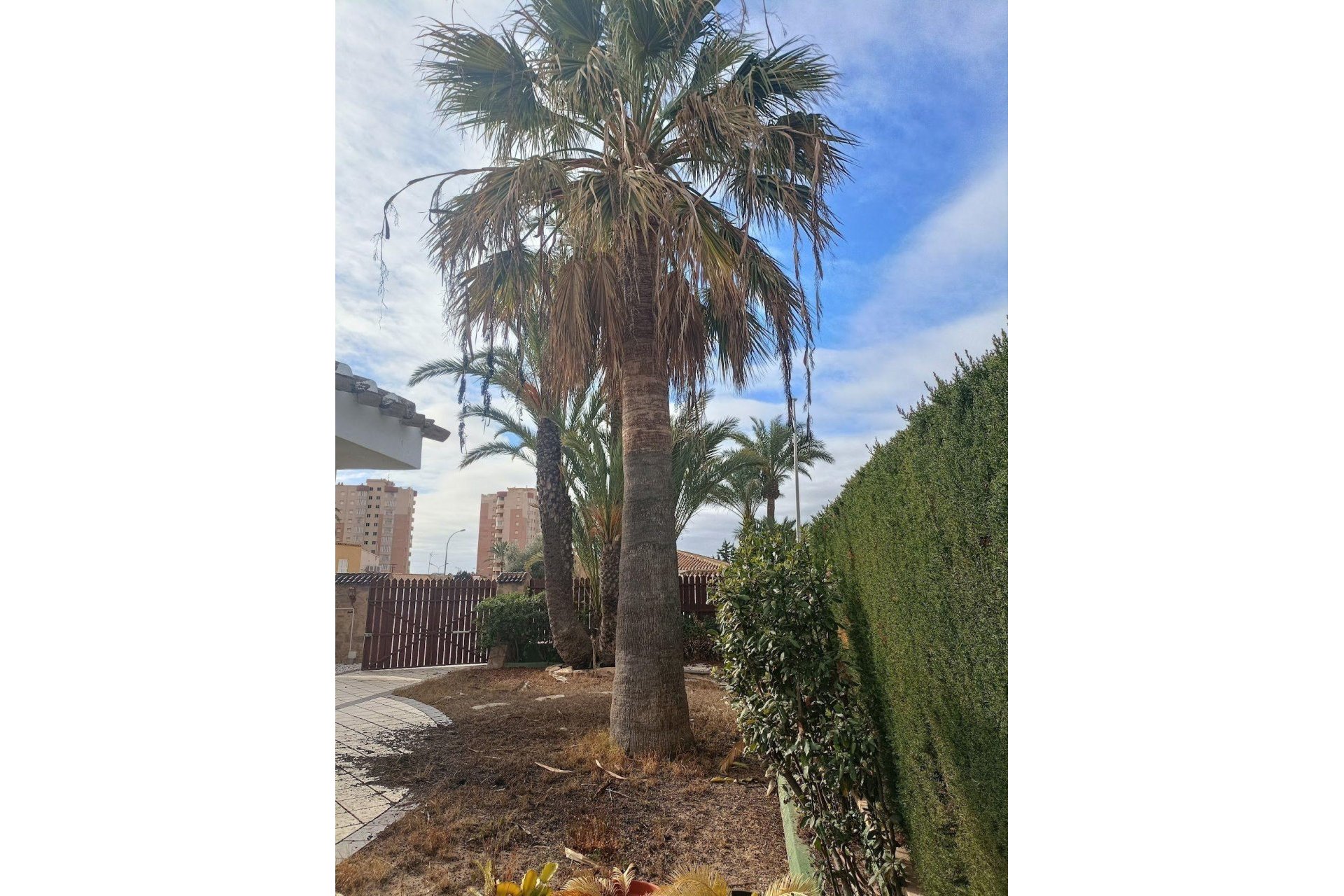 Reventa - Villa -
Orihuela Costa - Campoamor