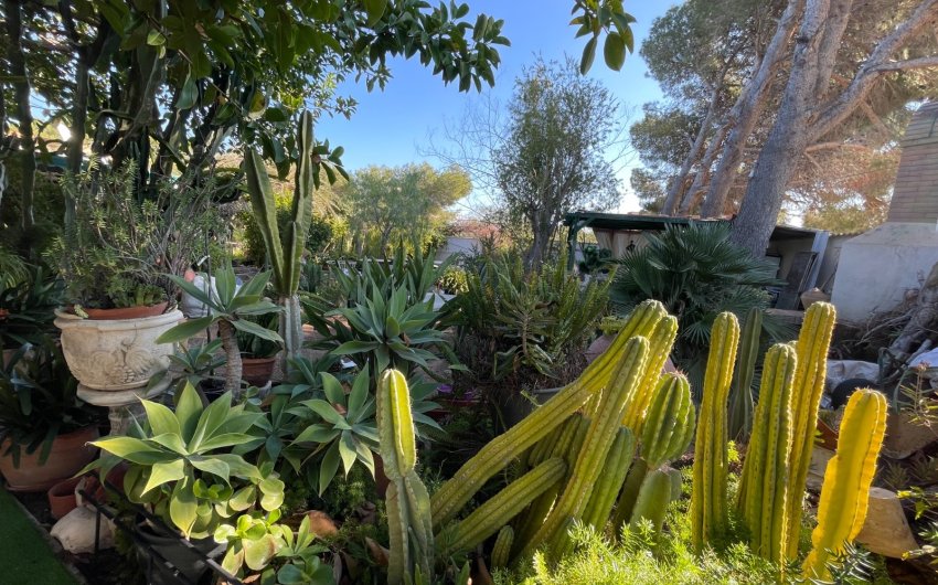 Reventa - Villa -
Orihuela Costa - Costa Blanca